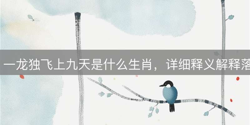 一龙独飞上九天是什么生肖，详细释义解释落实