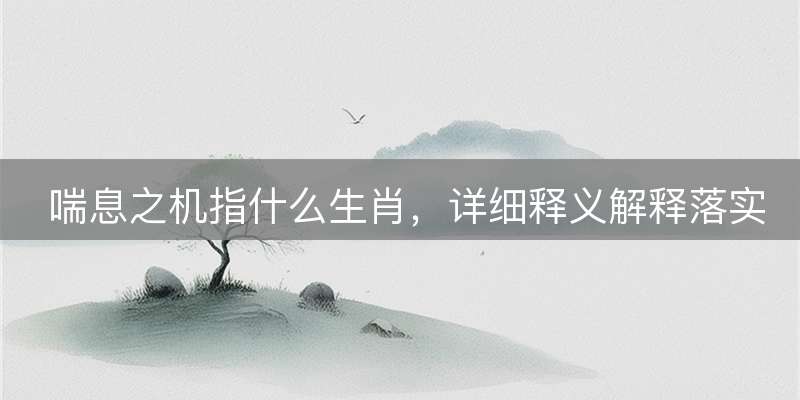 喘息之机指什么生肖，详细释义解释落实