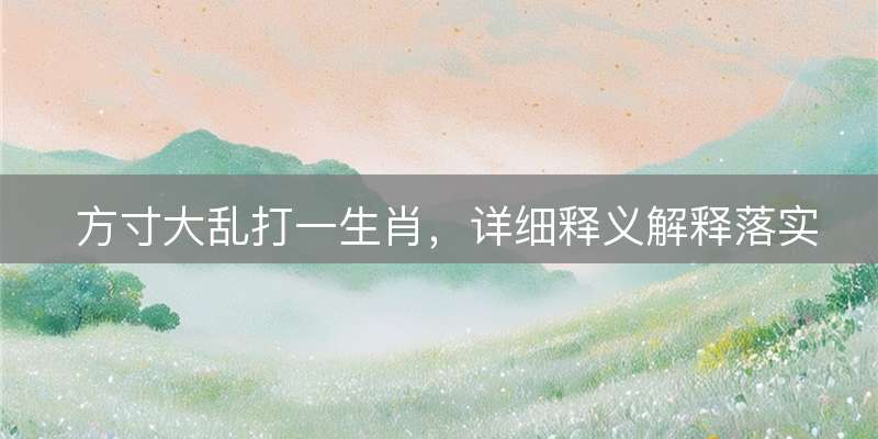 方寸大乱打一生肖，详细释义解释落实