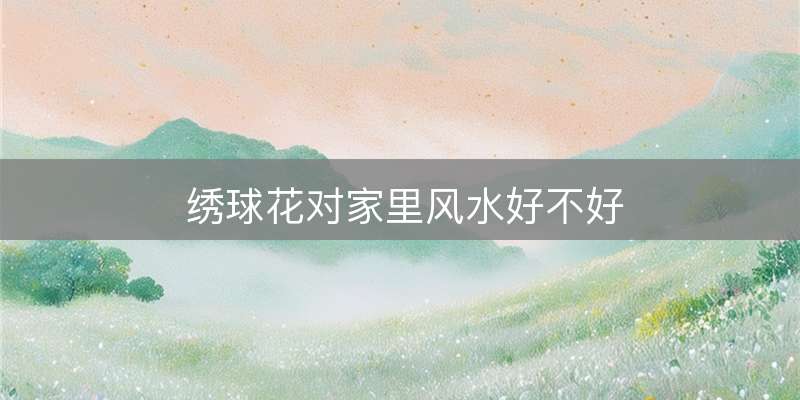 绣球花对家里风水好不好