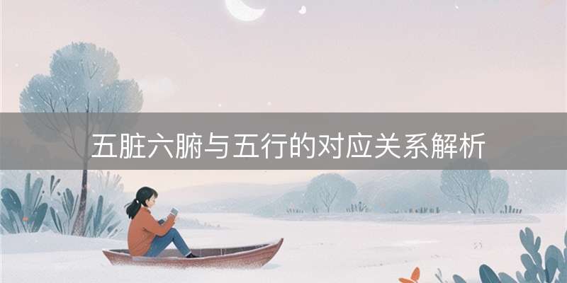 五脏六腑与五行的对应关系解析