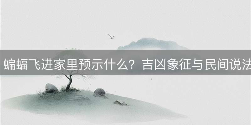 蝙蝠飞进家里预示什么?吉凶象征与民间说法详解