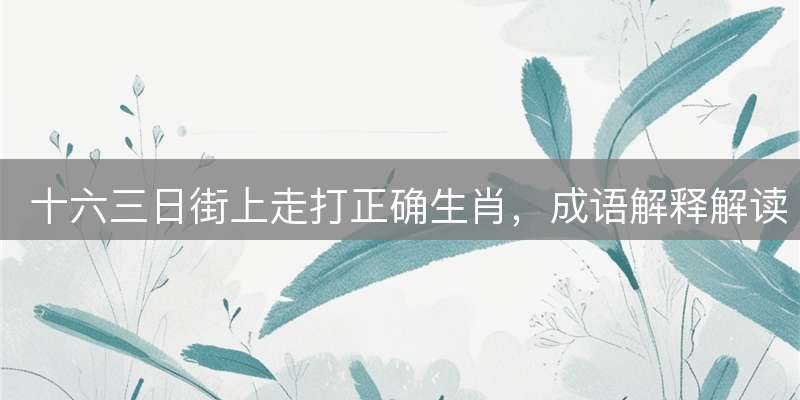 十六三日街上走打正确生肖，成语解释解读