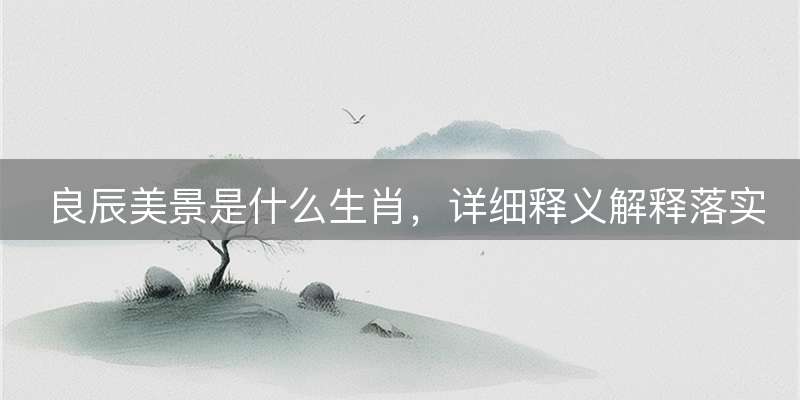 良辰美景是什么生肖，详细释义解释落实