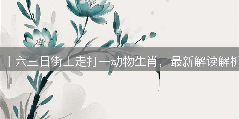 十六三日街上走打一动物生肖，最新解读解析落实