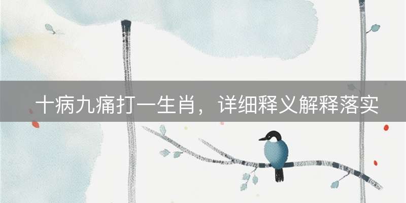 十病九痛打一生肖，详细释义解释落实