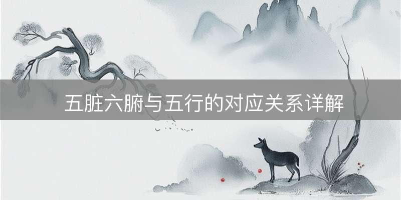 五脏六腑与五行的对应关系详解