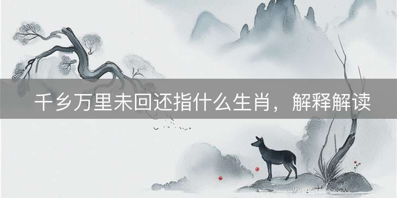 千乡万里未回还指什么生肖，解释解读