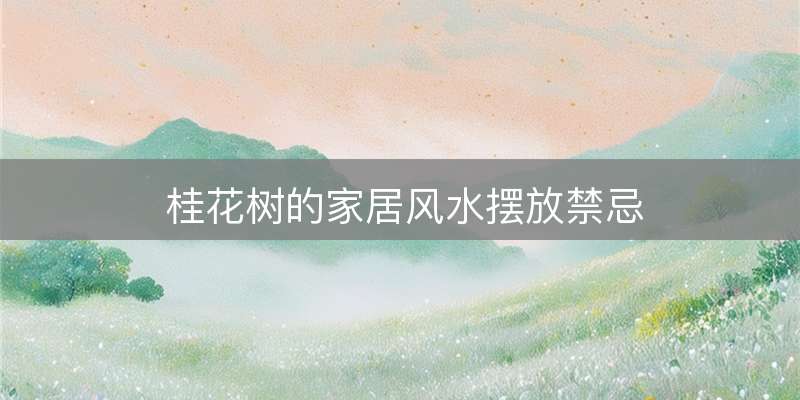 桂花树的家居风水摆放禁忌