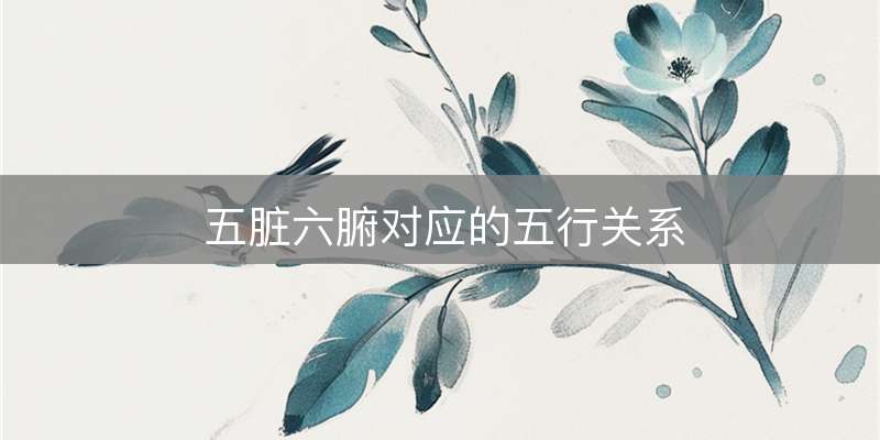 五脏六腑对应的五行关系