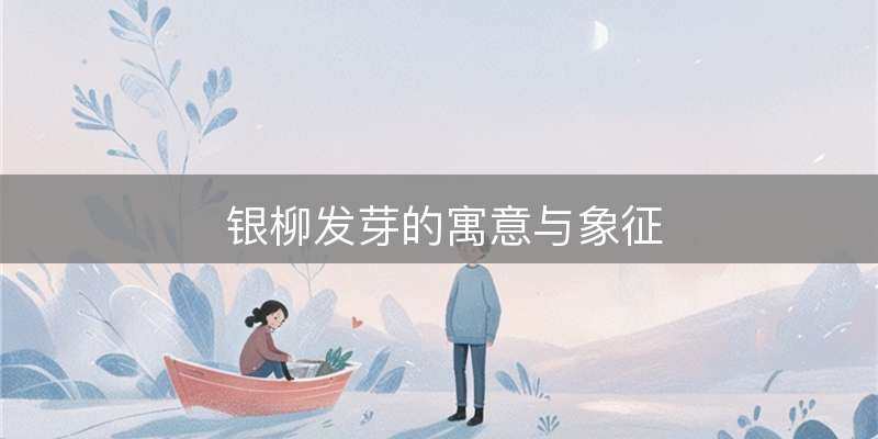 银柳发芽的寓意与象征