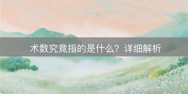 术数究竟指的是什么？详细解析