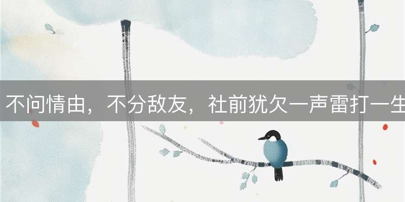 不问情由，不分敌友，社前犹欠一声雷打一生肖，最佳释义解析