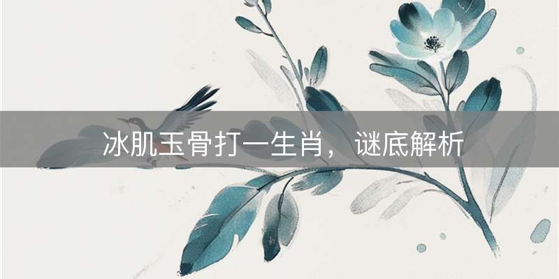 冰肌玉骨打一生肖，谜底解析