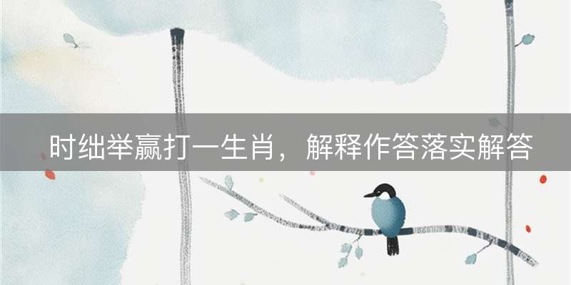 时绌举赢打一生肖，解释作答落实解答