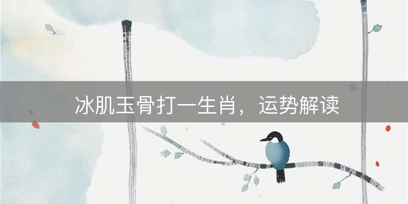 冰肌玉骨打一生肖，运势解读