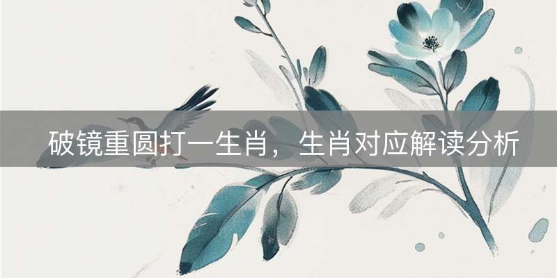 破镜重圆打一生肖，生肖对应解读分析
